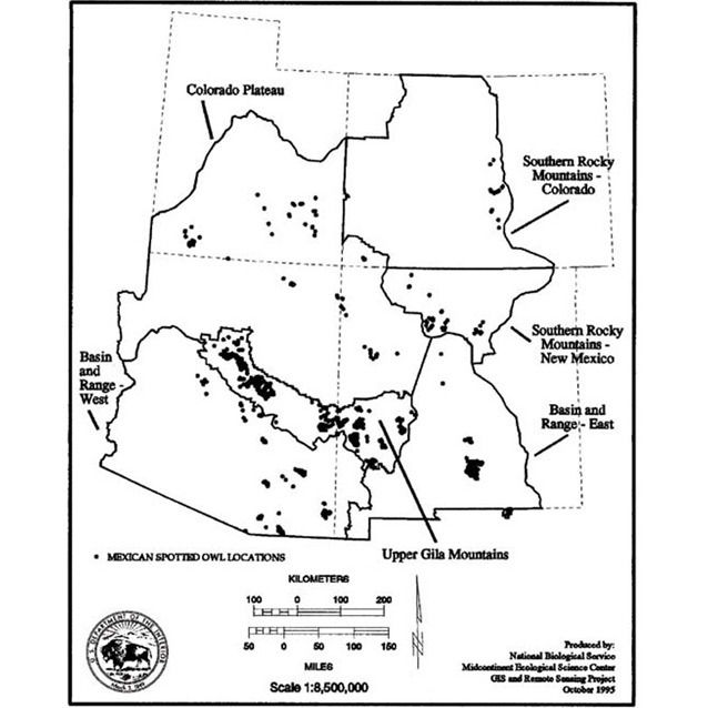 lanl-scientists-report-record-number-of-spotted-owl-chicks-local-news