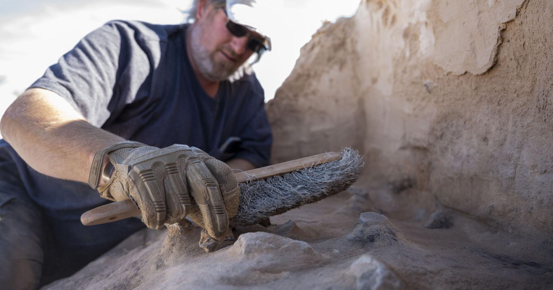Researchers go in the trenches at recently uncovered archaeological site at Holloman Air Force Base - Vimarsana News