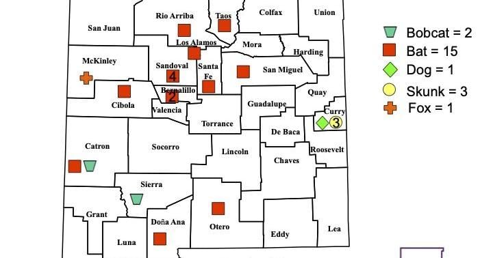 More animals testing positive for rabies in New Mexico — but the reason is a mystery
