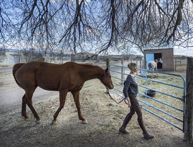 You have to be really tough to do this': Local rescue saves ...