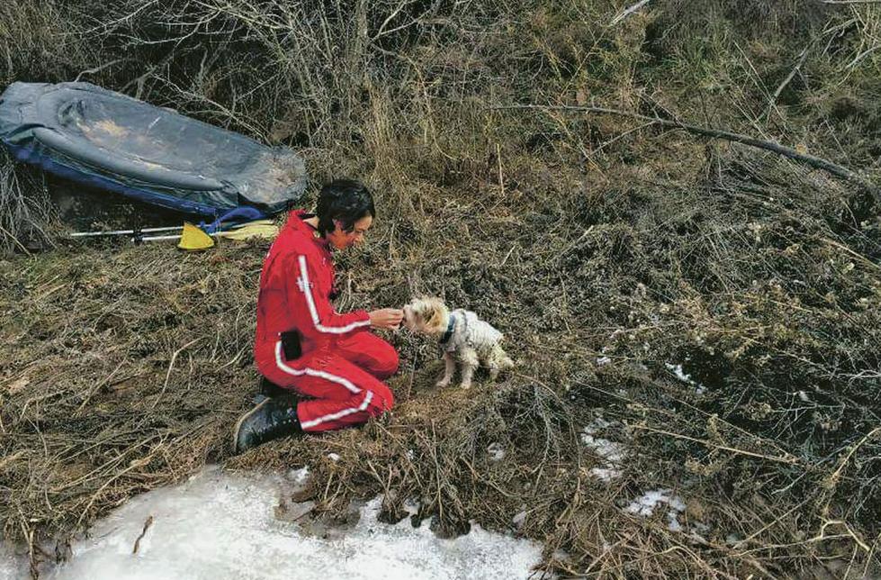 Volunteers Forrest Fenn Keep Up Search For Treasure Hunter