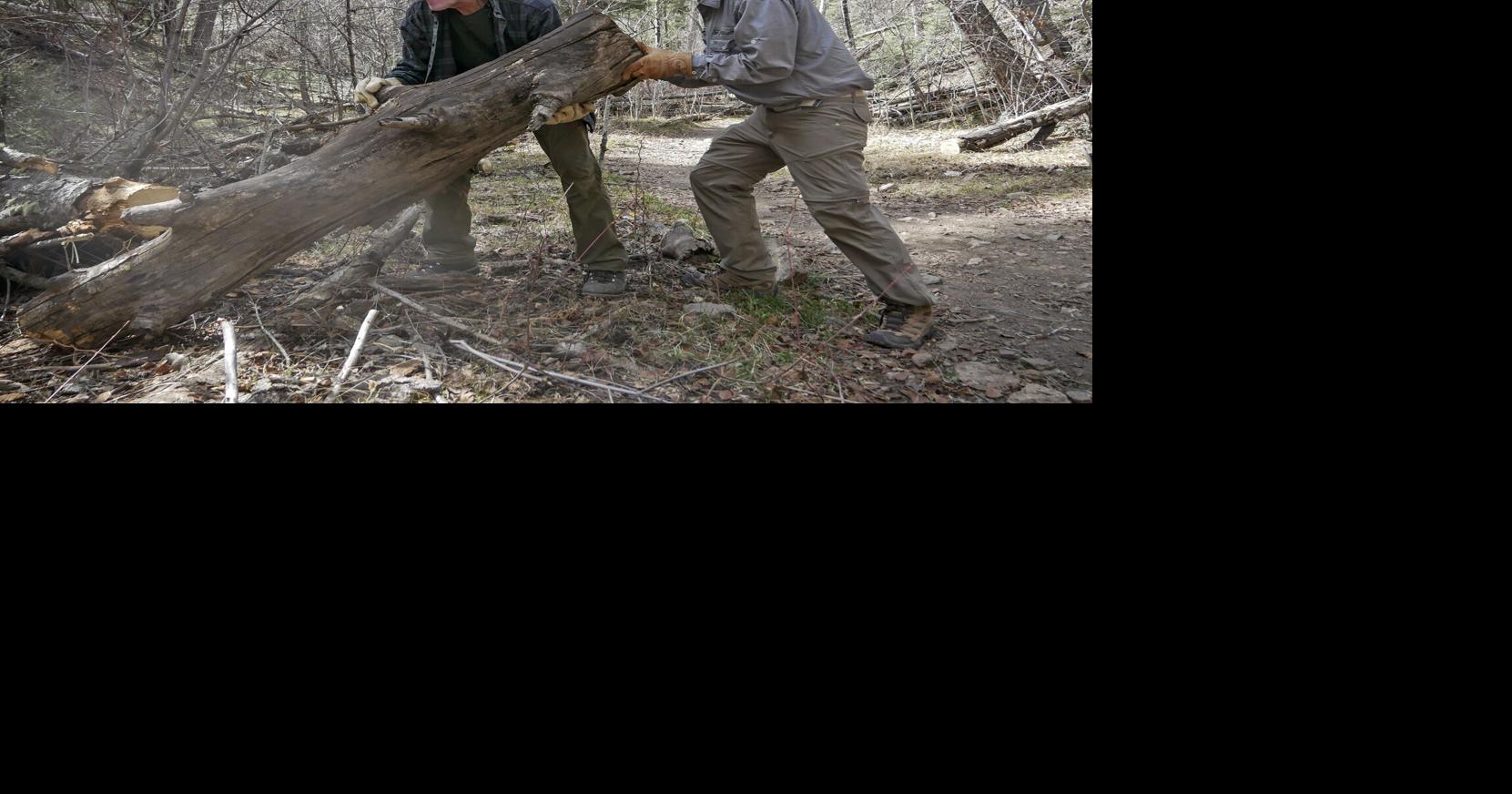 TERMITES keeping forest trails clear for hikers | Adventure ...