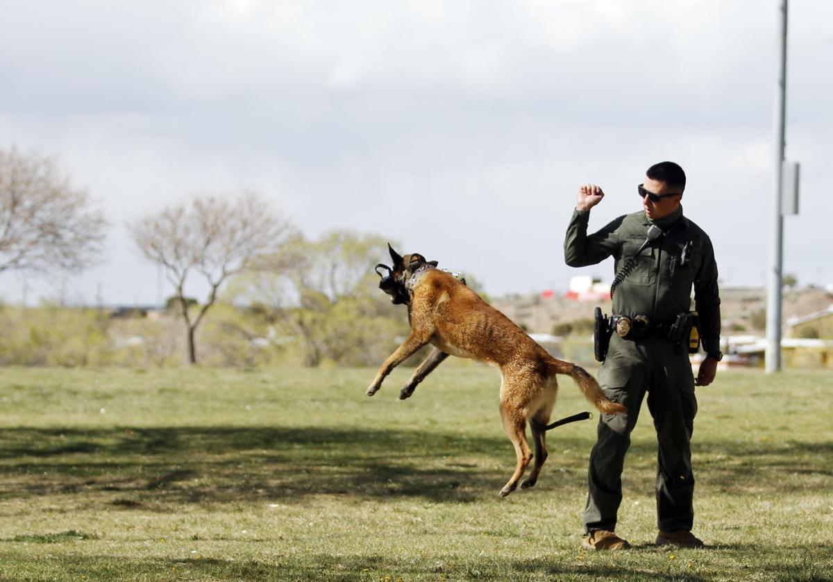 Santa Fe Police Get Two New Dogs For Relaunched K 9 Unit Local