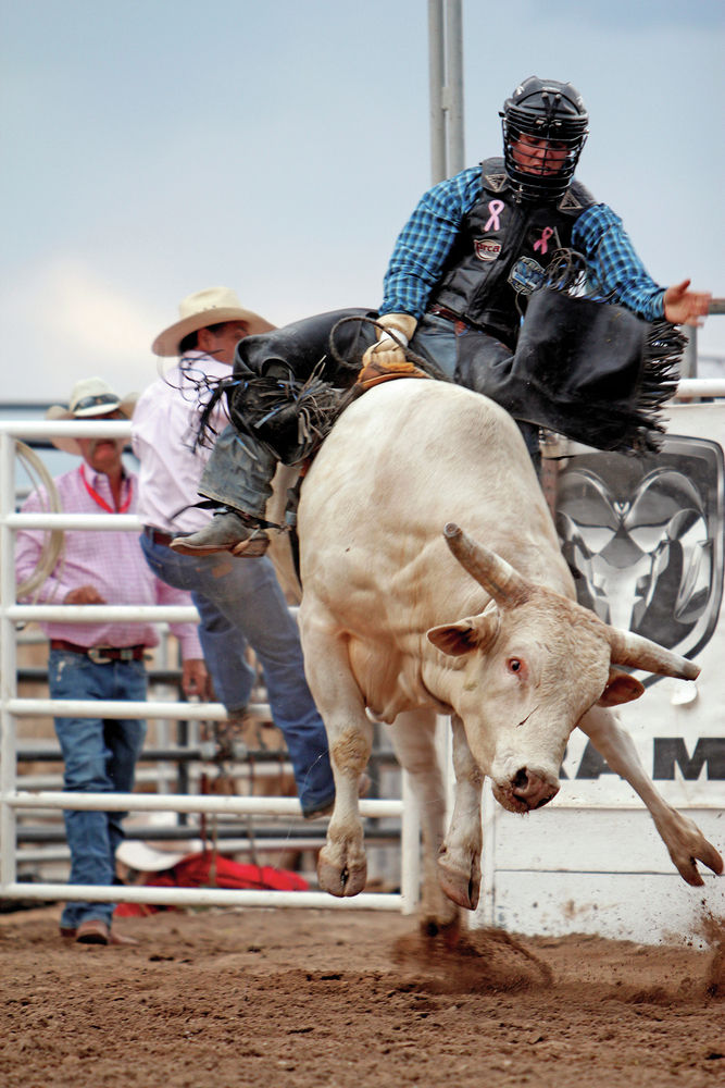 Rodeo de Santa Fe saddles success with growth Sports