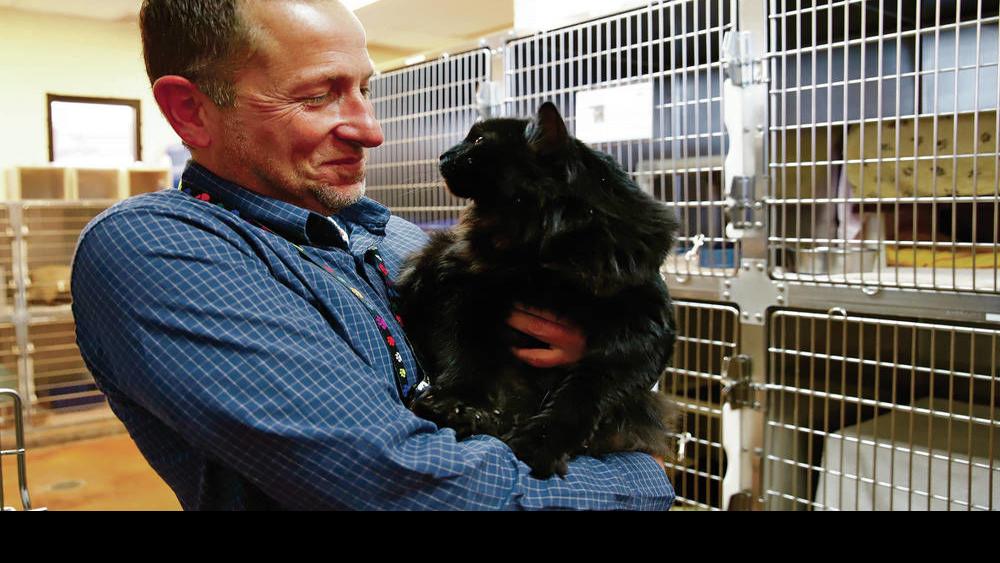 Incredible Journey Cat Found In Santa Fe Going Back To Oregon