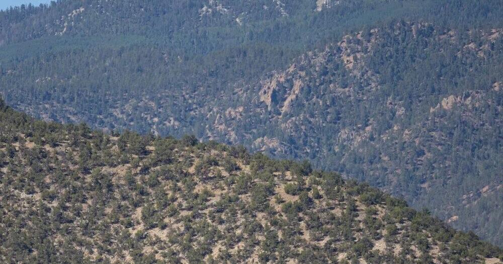 Cristobal de la Serna Land Grant appeals Taos radio tower case to New Mexico Supreme Court