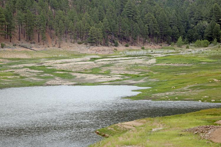 Experts tell New Mexico lawmakers swift action needed to address