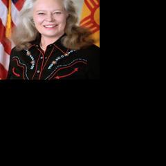 Two candidates enter Senate District 24 Democratic primary race - Vimarsana News
