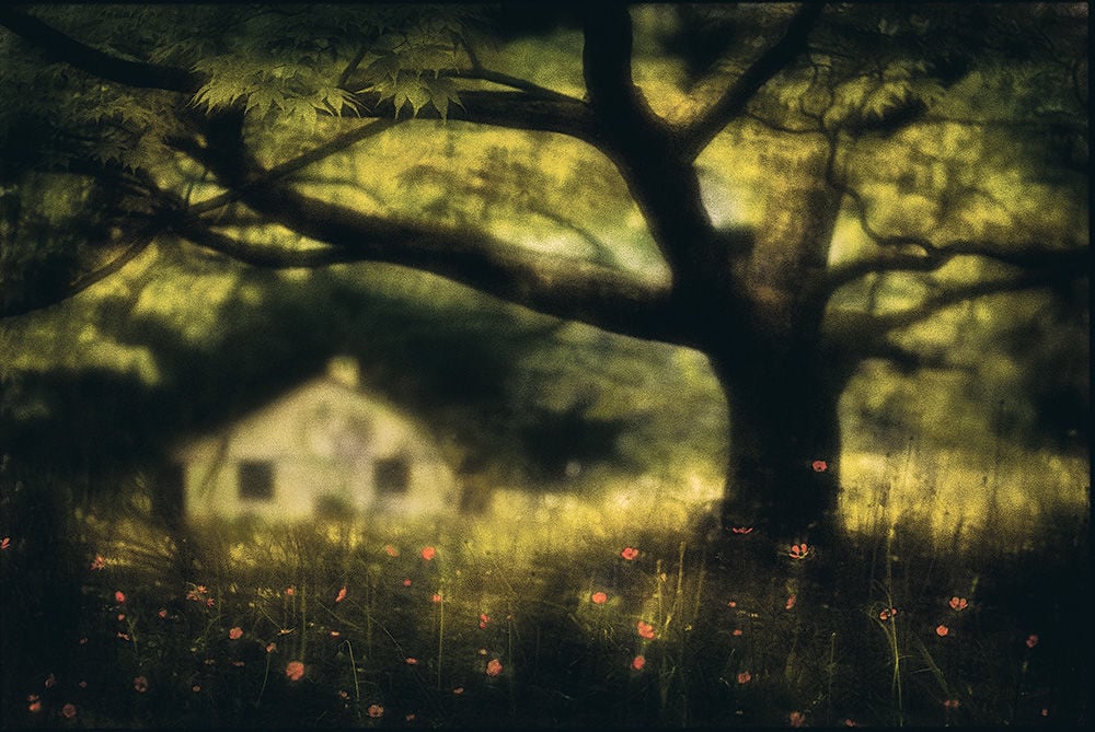 Rocky Schenck 写真集 Photographs The Incandescent Unreality of Rocky Schenck