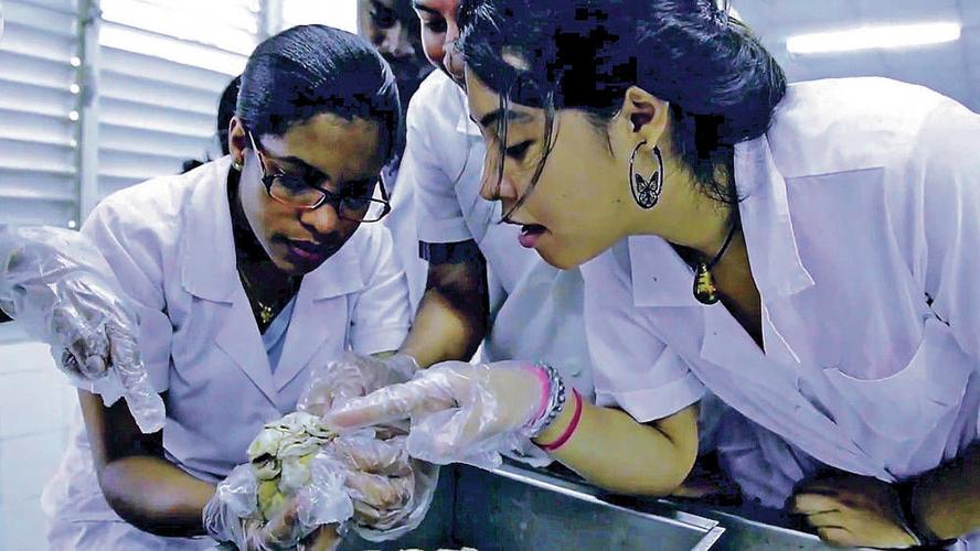 Film in Santa Fe explores Cuba medical school Local News