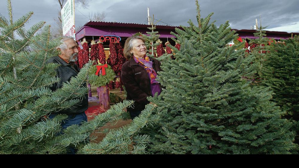 On The Hunt For A Perfect Holiday Tree Options Abound In The City Forests Local News Santafenewmexican Com