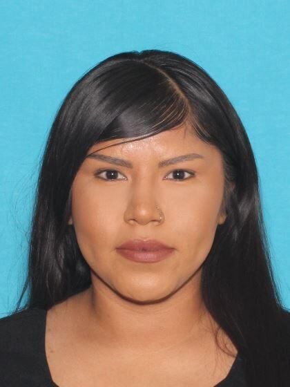 Santa Fe police searching for suspect in early Wednesday stabbing