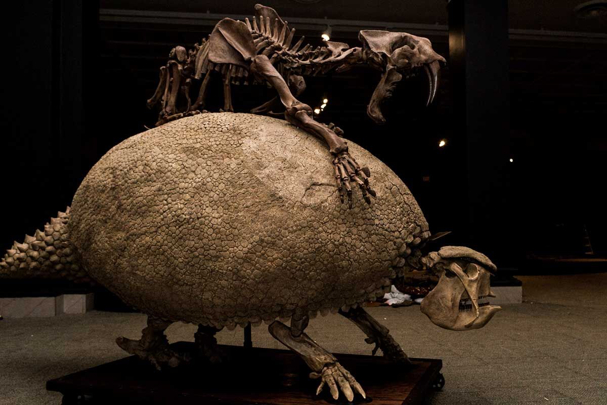 New Mexico Museum of Natural History and Science Reopens April 4