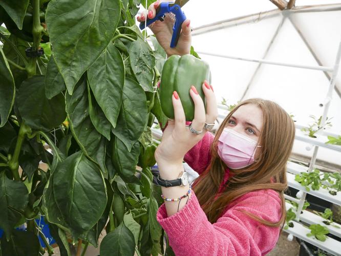 Monte del Sol will host drivethru restaurant pop up Education