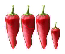 3.5 chiles
