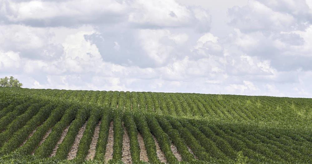 New Mexico fertilizer facility gets $139M in federal funding