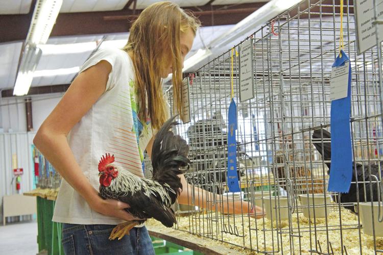 Santa Fe County Fair offers revelry and rivalry for all ages Family