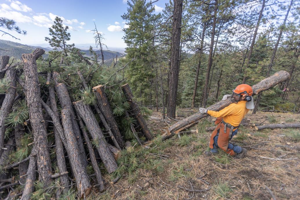 Slash Pile Burns Planned In Carson National Forest With Stepped Up Monitoring Local News