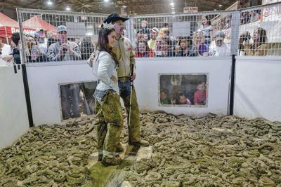 rattlesnake snake kill texas roundup santafenewmexican rattlesnakes thousands four days just nets charmer sweetwater winner contest includes largest miss which