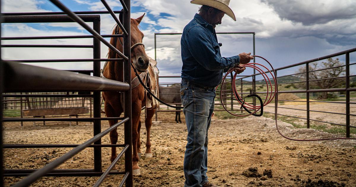 2025 through the lens: Photos by Gabriela Campos