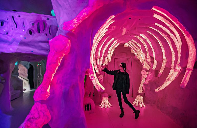 Meow Wolf to hold small weddings Local News