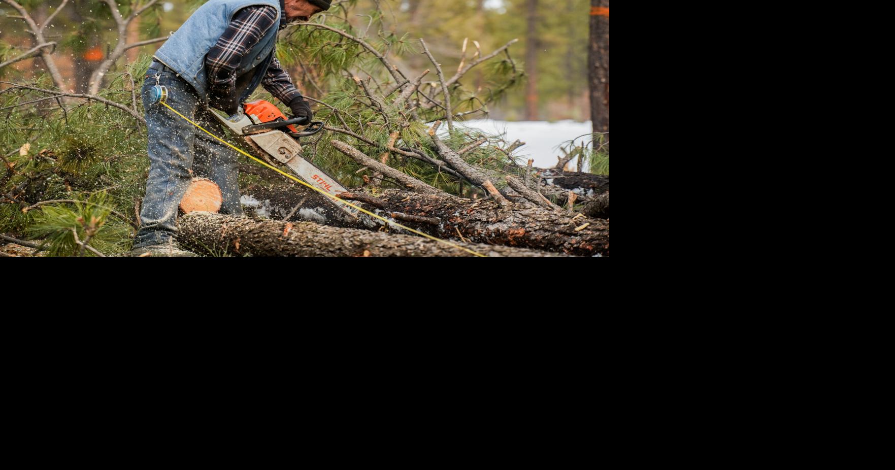 Earth, Wind and Fire: Pueblo wood bank makes big difference with small wood