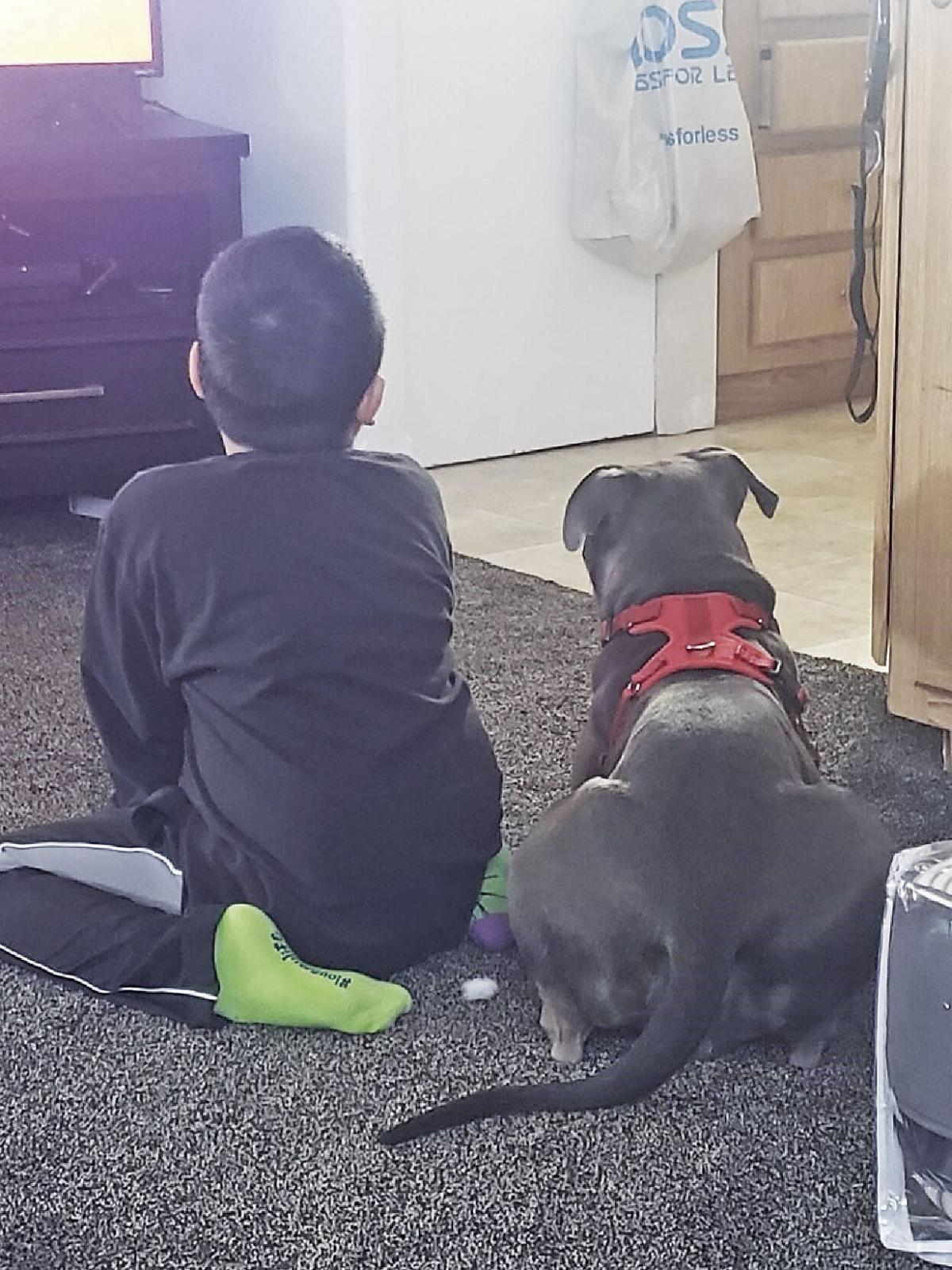 shelter helps pair boy with his first