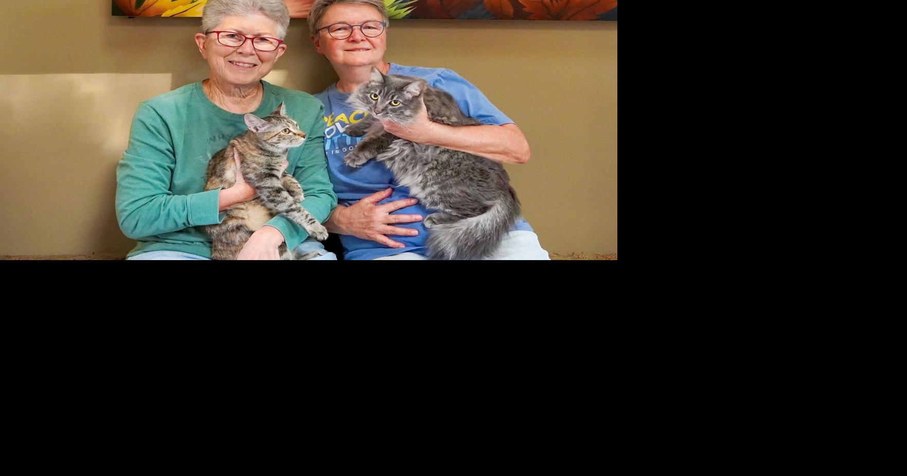 Life lessons from fostering pets
