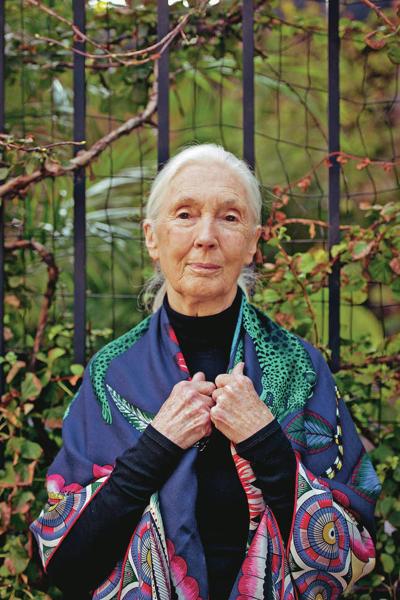 Activist Jane Goodall, speaking at the Lensic, has hope ...
