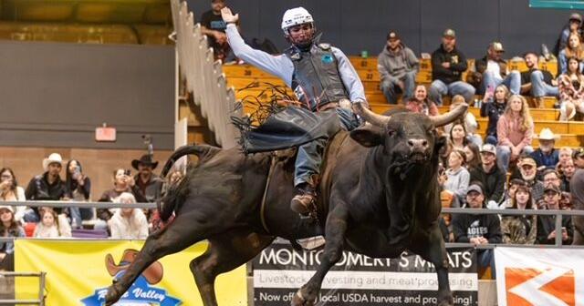 After two years falling short, Stanley bull rider triumphs at Rodeo de ...