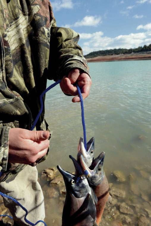 Anglers descend on Heron Lake for salmonsnagging season Outdoors
