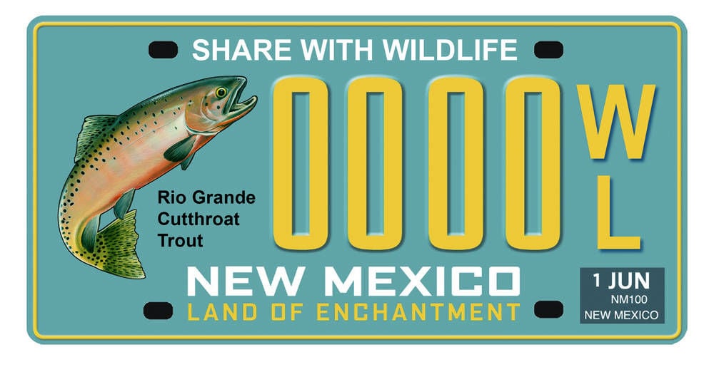 Cutthroat trout featured on new license plate - New Mexico Department of  Game & Fish