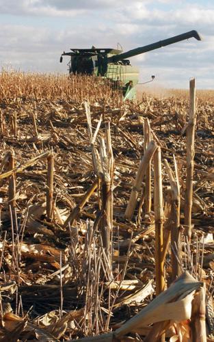 Prairies vanish as U.S. pushes ethanol policy