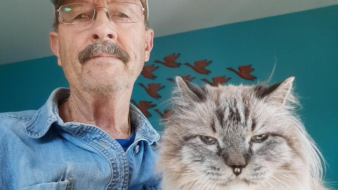 Senior cat finds new home in Eldorado | Paws