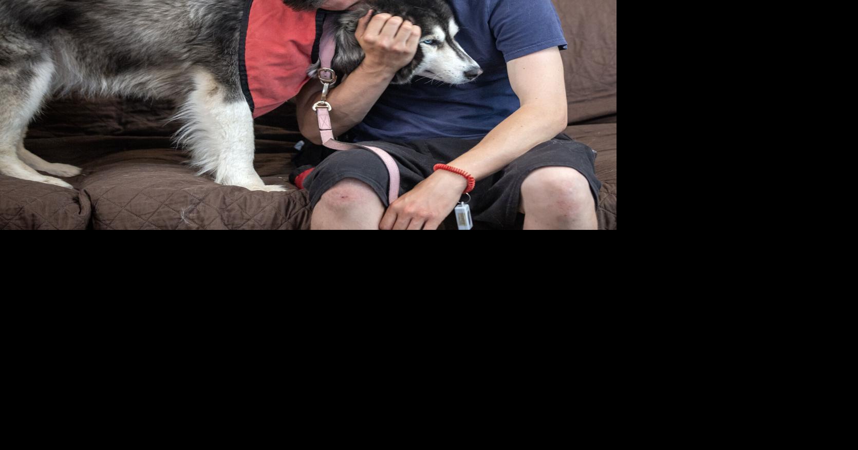 Assistance dog program trains veterans to train dogs | Local News ...