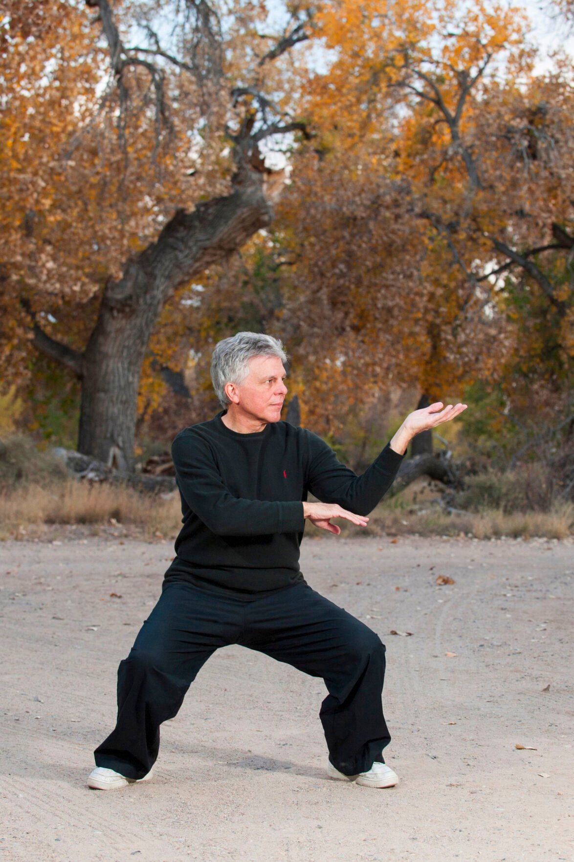 Avatar: Tai chi instructor Michael DeMarco's fictional master of the arts