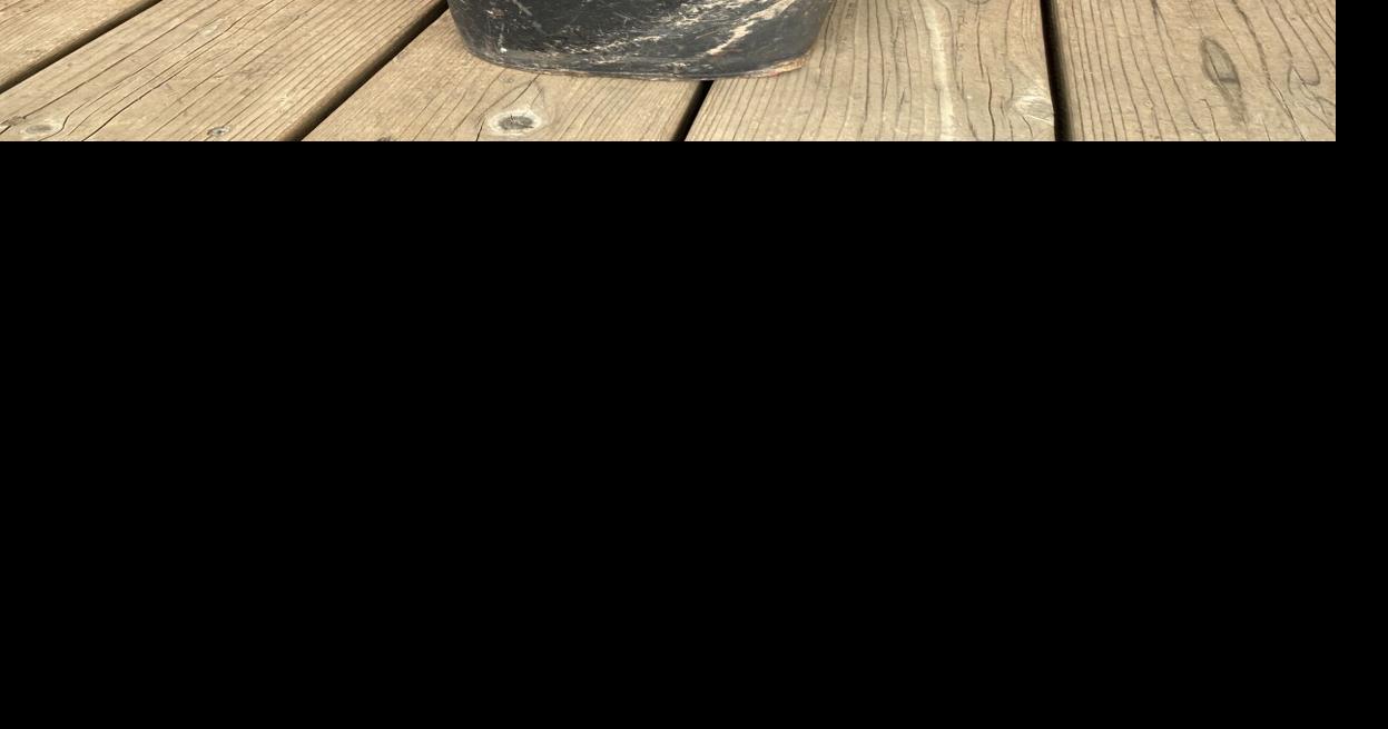 2nd Dixon hiker says he found decontamination gear in 2022