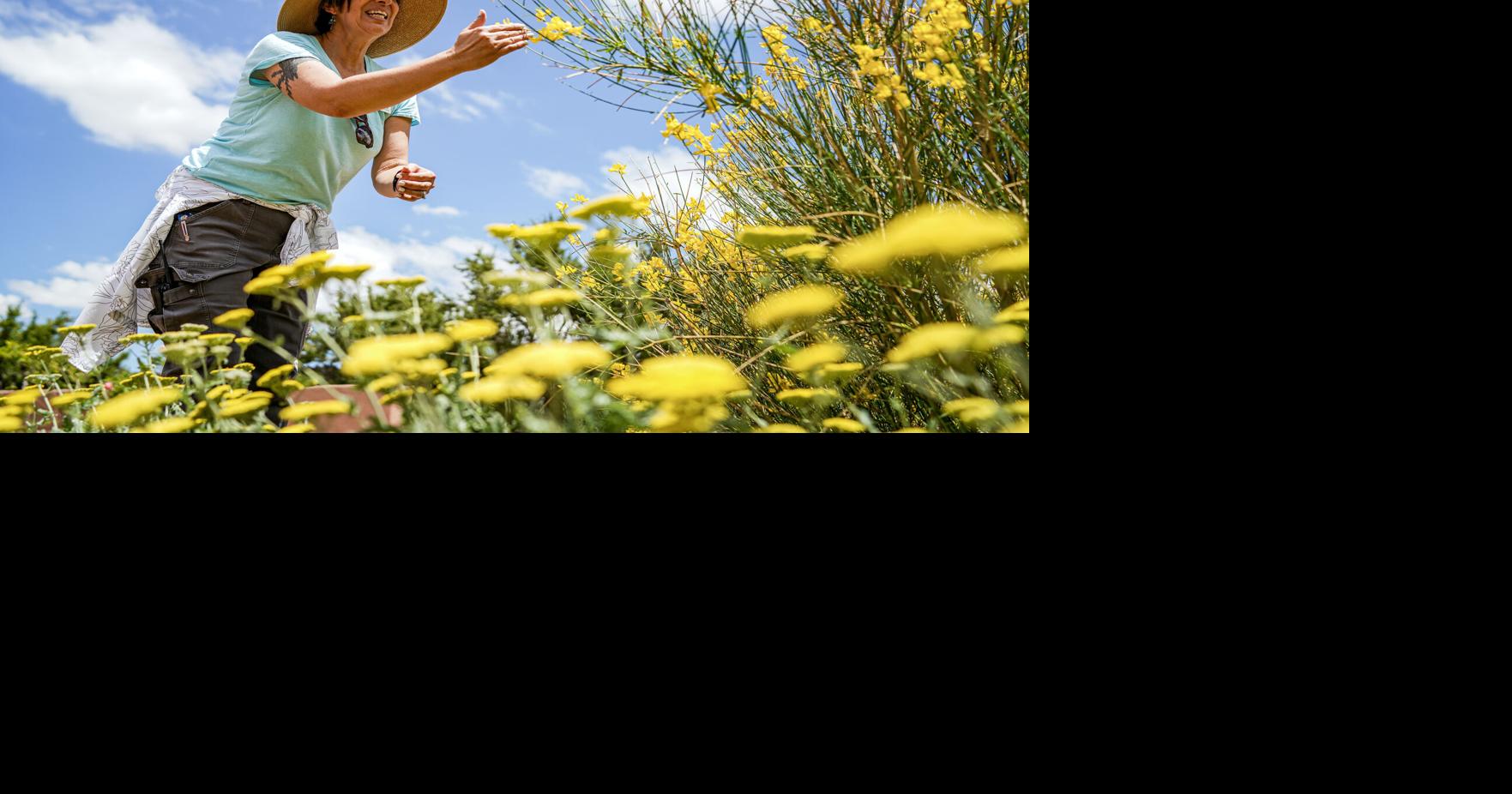Hoods: Santa Fe Botanical Gardens