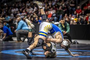 Gallery: Scenes from the mat at State Wrestling Championship
