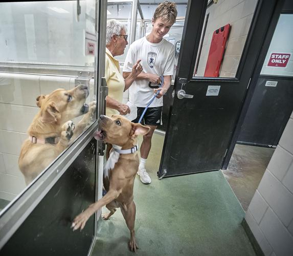 Santa Fe Prep soccer teams running with dogs at Santa Fe animal shelter ...