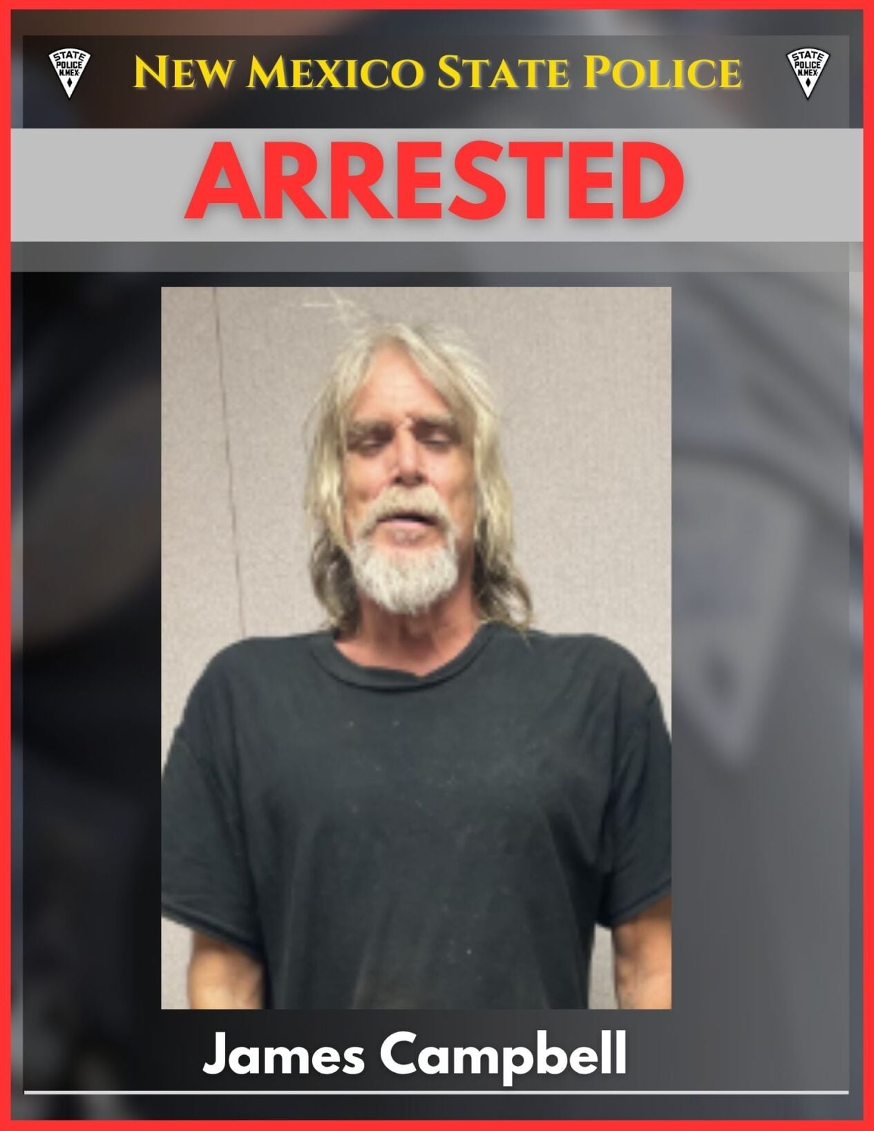 Santa Rosa man faces felony after his dogs killed man, state police say
