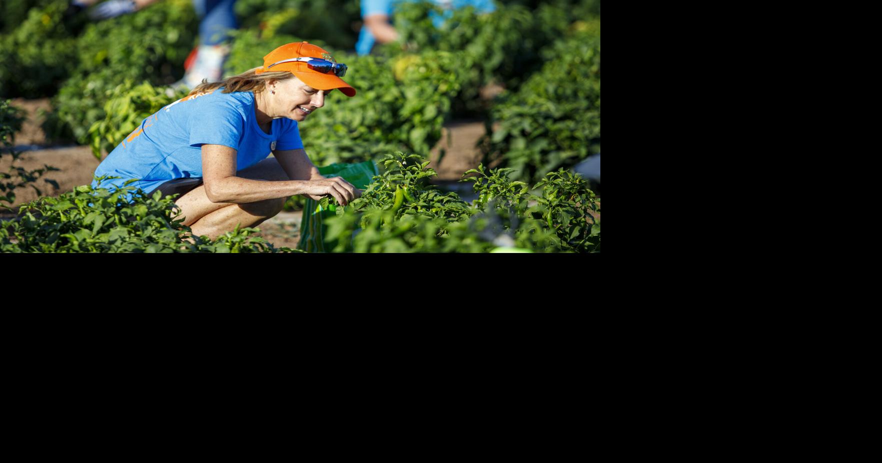 PNM employees to volunteer across state in annual Day of Service | Business