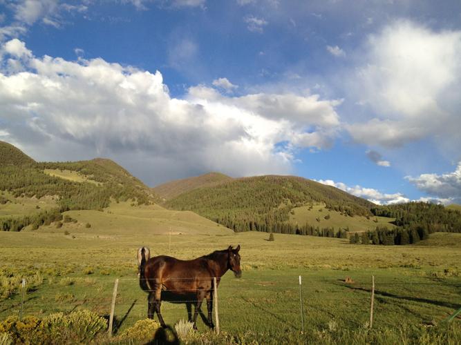 Rocky Mountain healing Into the 
