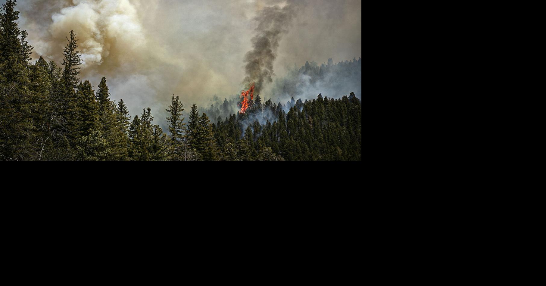 $1M on tap to help with water contamination from 2022 fire, 2024 flood in New Mexico
