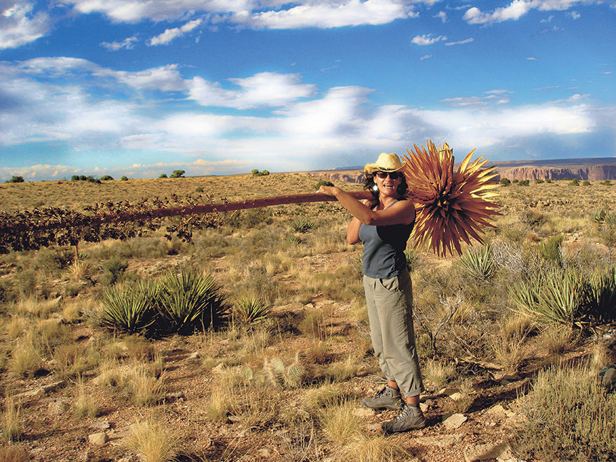 Taking root State botanist Daniela Roth on endangered species