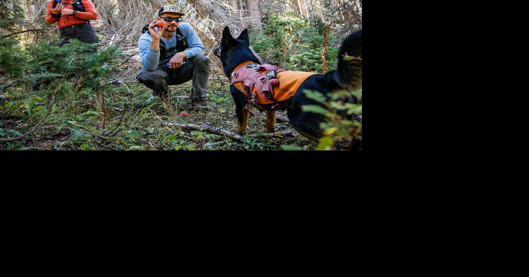 100526_md_detectiondogs1.jpg | | santafenewmexican.com