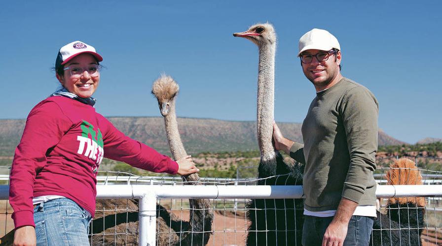 What Does Ostrich Meat Taste Like? A Complete Guide - American Ostrich Farms