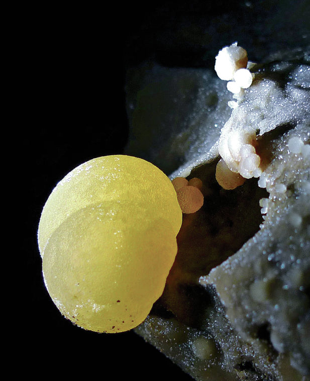 Explorers descend into the depths of Fort Stanton Cave to ...