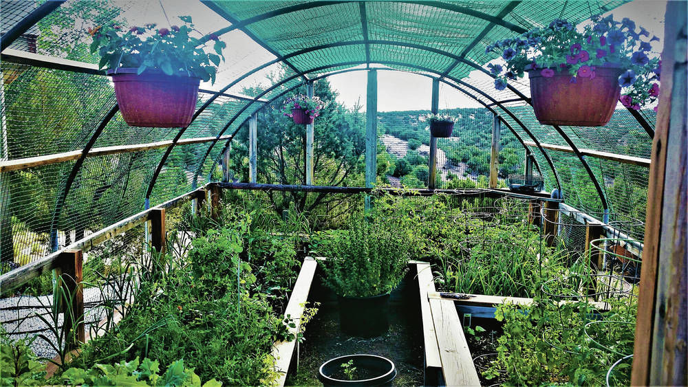 Building a better greenhouse Business