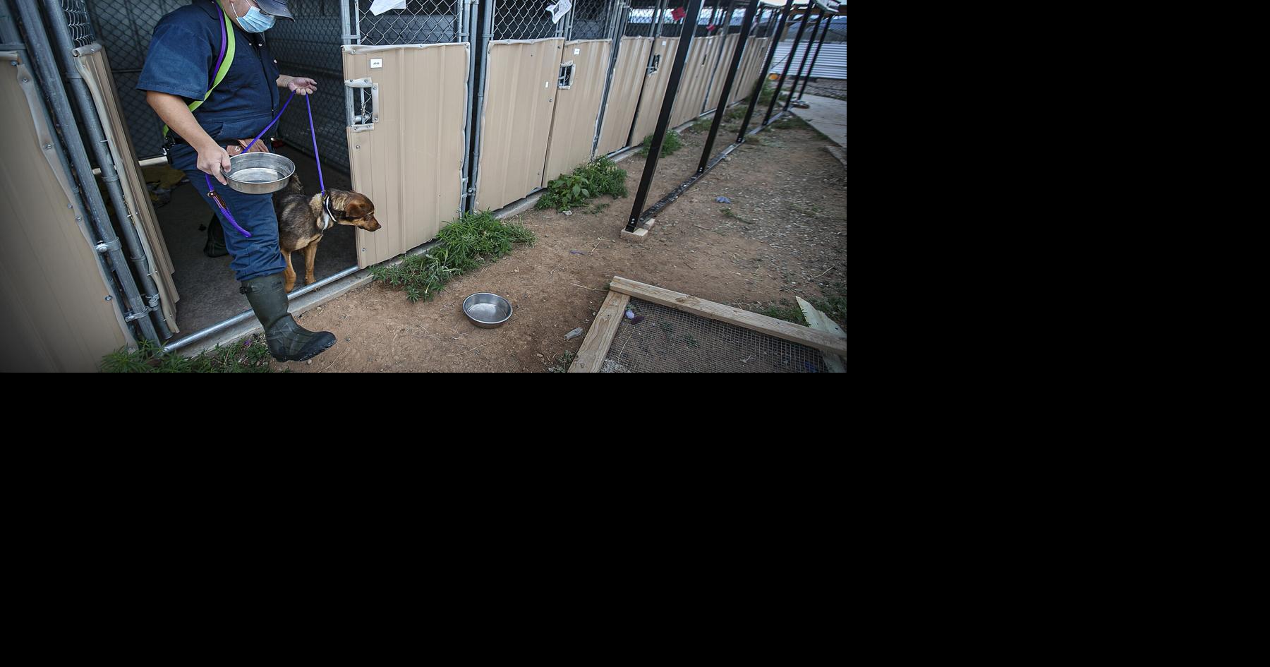 Santa Fe Animal Shelter & Humane Society faces high demand, not enough